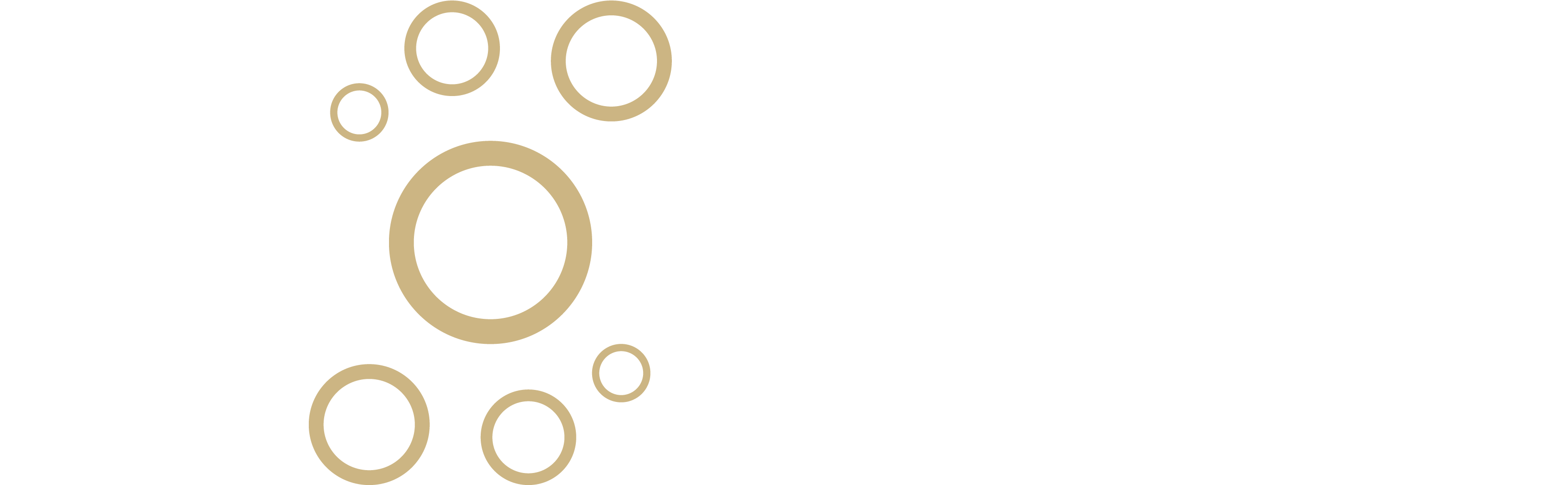 Ecoclean logo